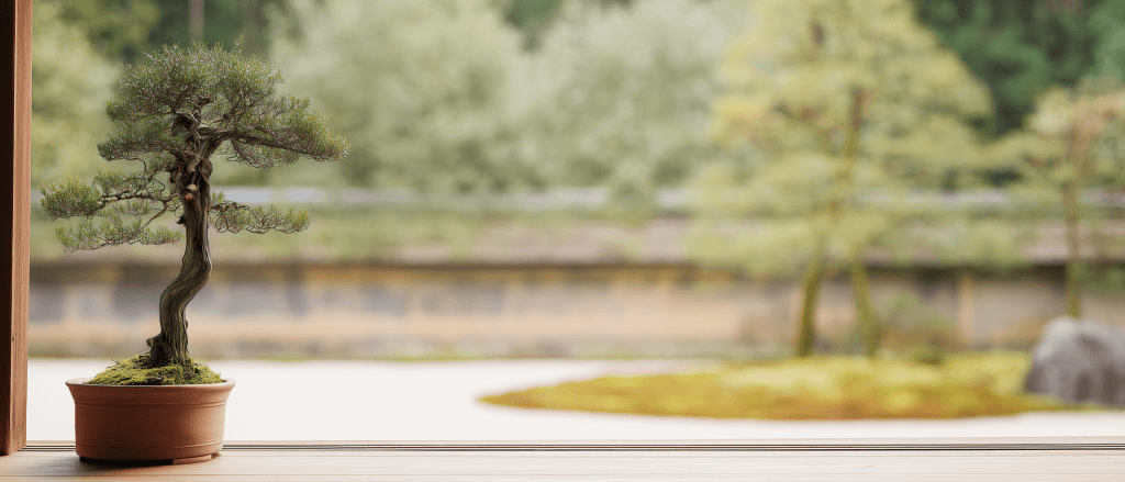 Hand-selected bonsai pots in traditional Japanese styles, available in the United Kingdom.
